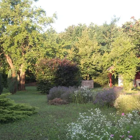 Nagymajor Birding * Tiszacsege