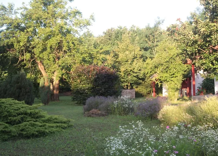 Nagymajor Birding * Tiszacsege